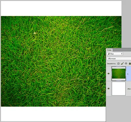 Cum să taie un cerc în Photoshop (puteți alege) Cum să taie un cerc în Photoshop