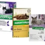 Picături pe greabăn (picături purici Aplicație) advanteydzh de instrucțiuni și feedback Picături pe greabăn advanteydzh Ghid și recenzii