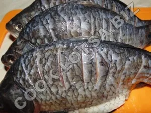 Carp cu cartofi la cuptor - delicios fotografii acasă pas reteta (reteta) Carp cu cartofi la cuptor - delicios acasă-pas fotografii reteta