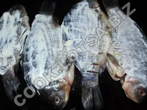 Carp cu cartofi la cuptor - delicios fotografii acasă pas reteta (reteta) Carp cu cartofi la cuptor - delicios acasă-pas fotografii reteta