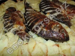 Carp cu cartofi la cuptor - delicios fotografii acasă pas reteta (cuptor) Carp cu cartofi la cuptor - delicios acasă-pas fotografii reteta