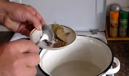 Cum se murarea la untură acasă în saramură gustoase și rapidă