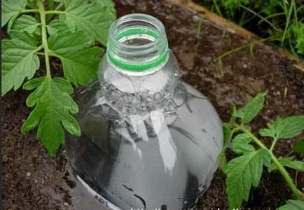 irigare prin picurare în țară cu propriile lor mâini de casă sistem de sticle din plastic (sistem) irigare prin picurare în țară cu propriile lor mâini sistem de casa de sticle din plastic