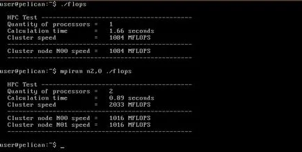 Cluster (Ghid practic)