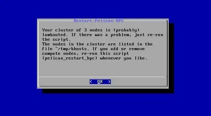 Cluster (Ghid practic)