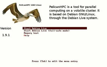 Cluster (Ghid practic)