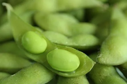 Catalog de produse ruskaps, România