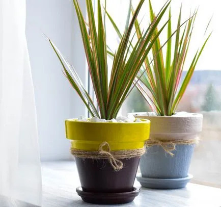 Ghiveci imagini în design interior și idei decât ghivece pentru flori este diferit de oala