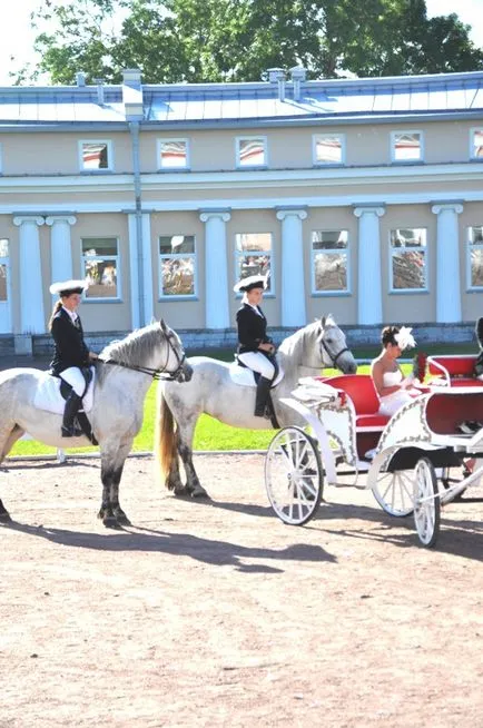 Catering pentru o nunta, catering nunta
