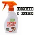 Pisica mănâncă florile, noastre 7 sfaturi cu privire la modul de a proteja plantele de la pisici