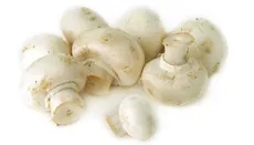 Compost, grămadă de compost cu mâinile lor, cum să gătească în mod corespunzător, metodele
