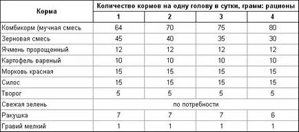 Hrănirea puilor - sa ferma proprie