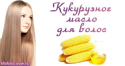 Ulei de porumb pentru păr 6 măști de origine și comentarii (porumb comentarii ulei de păr de aplicare masca) Ulei din porumb pentru măști de păr și 6 comentarii la domiciliu