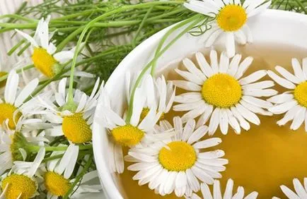 Tratamentul lactostasis la domiciliu ca o stagnare rastsedit de lapte la mamele care alăptează populară (lactostasis) Tratamentul lactostasis la domiciliu ca o stagnare rastsedit de lapte la mamele care alăptează popular