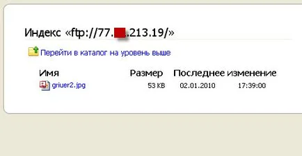 LAN prin Internet - rețea și Internet