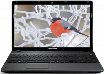 compania packard Bell cel mai bun laptop