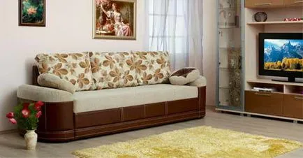 Mecanisme de canapele care aleg un favorit acasă (mecanism canapea cu acordeon) Mecanisme de canapele care alege casa favorit