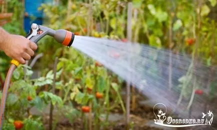 Instalarea de sisteme de irigare - cum să se proiecteze și ce să ia în considerare (instalare) Instalarea de sisteme de irigare - cum să se proiecteze și ce să ia în considerare