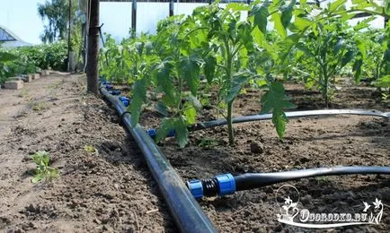 Instalarea de sisteme de irigare - cum să se proiecteze și ce să ia în considerare (udare) Instalarea de sisteme de irigare - cum să se proiecteze și ce să ia în considerare