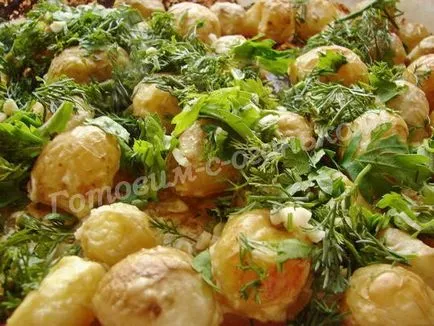 Cuplu de cartof în cremă într-un cuptor (cremă) Cartofi noi cu smantana la cuptor