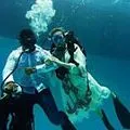 În orice tur al Hurghada ar trebui să meargă (cum ar fi un an ca răspuns) Care dintre excursii Hurghada ar trebui să meargă