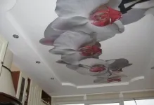 plafon stretch sau plafon primul tapet care mai devreme, înainte sau după, care se va potrivi cu instalația (suspendat de tavan tapet primul sau plafon) plafon stretch sau plafon primul tapet care mai devreme, înainte sau după, care se va potrivi cu instalarea,