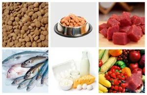 alimente naturale pentru pisici