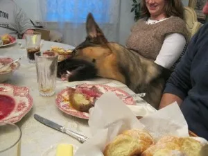 Shepherd pedepsi pentru a fi obraznic