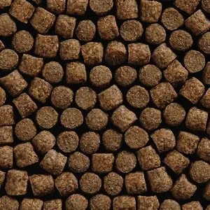 pelits Nozzle - pescuit pe alimentatorul