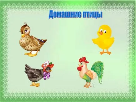 Spell un cuvânt