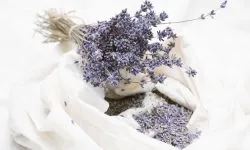 Charms pentru acasă cu propriile sale mâini face talismanul slavă (acasă) Charms pentru acasă cu propriile sale mâini face talismanul slavă