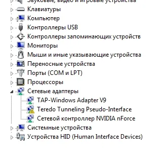 Laptop-ul nu vede cablul de alimentare (internet cablu de Ethernet)