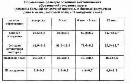 Neurosonography (SUA) lecturi creier grudnichka, în special norma (ale creierului) Neurosonography (SUA) lecturi creier grudnichka, în special norma