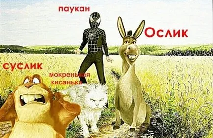 Donkey, Gopher, Paukaa, Netlore Michael Yasnov, popândăi măgar Paukaa ultima șansă, copii, copii