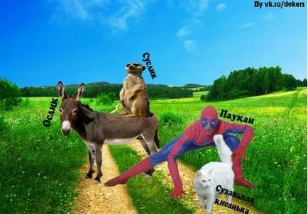 Donkey, Gopher, Paukaa, Netlore Michael Yasnov, popândăi măgar Paukaa ultima șansă, copii, copii