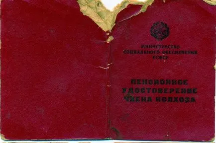 Certificat de pensii - articole despre arhive, gestionarea documentelor, evidență - Portal (a obține o nouă pensie) Certificat de pensii - articole despre arhive, gestionarea documentelor, păstrarea evidenței - Portal