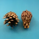 Hack mașina din lut