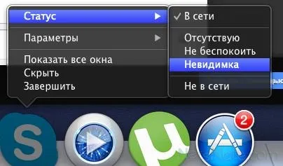 De ce nu mă vezi pe Skype