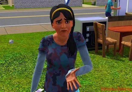 De ce zboară Sims 3 și cum să lupte