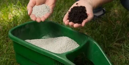 Fertilizarea de morcovi în câmp deschis