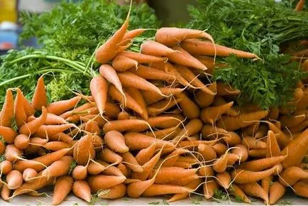 Fertilizarea de morcovi în câmp deschis
