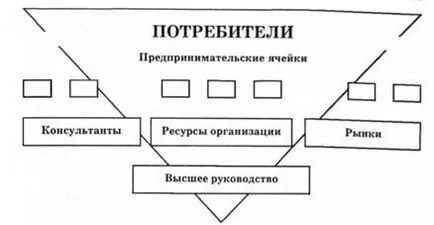 organizarea antreprenorială - managementul organizațiilor - Kirzhner La Biblioteca de manuale românești
