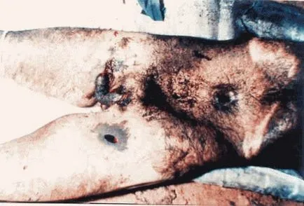 Abducție și experimente străine (cavitate) Răpiri și experimente străini