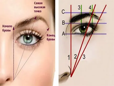 spranceana modelarea adecvată, cum să o faci singur, o fotografie și video sfaturi (pentru a îndepărta excesul de păr) sfaturi pentru modelarea corectă spranceana, cum să o faci singur, o fotografie și video