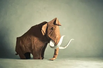 origami simplu, inspirație on-line