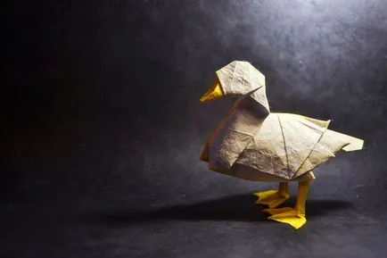 origami simplu, inspirație on-line