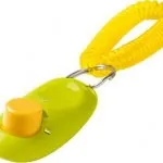 Extractor pentru câini în cazul în care să cumpere, prețul este ceea ce este, un analog, o jucărie sau nu, tranirovka lor inel (tragator) Extractor pentru câini în cazul în care să cumpere, prețul este ceea ce este, un analog, o jucărie sau nu, tranirovka inelul