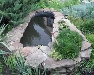 Iazul de baie cu mâinile la pozele lui Dacha și instrucțiuni pentru construirea oaza (iaz) Iazul de baie cu mâinile la pozele lui Dacha și instrucțiuni pentru construirea oaza