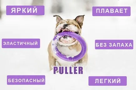 Trăgător (tragator) - echipament sportiv și jucării într-un singur! magazin de animale online Dl wow