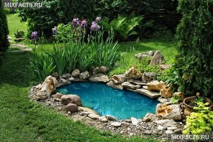 Iazul de baie din țară cu propriile lor mâini (foto)